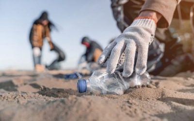 NOR24172 – Acquisto prodotti riciclati e imballaggi verdi. Istruzioni per la fruizione del credito d’imposta.