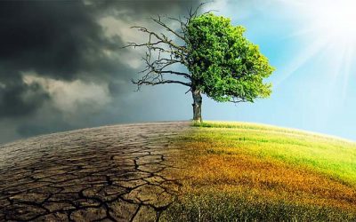 Cambiamenti climatici – Transizione ecologica – Inquinamento atmosferico